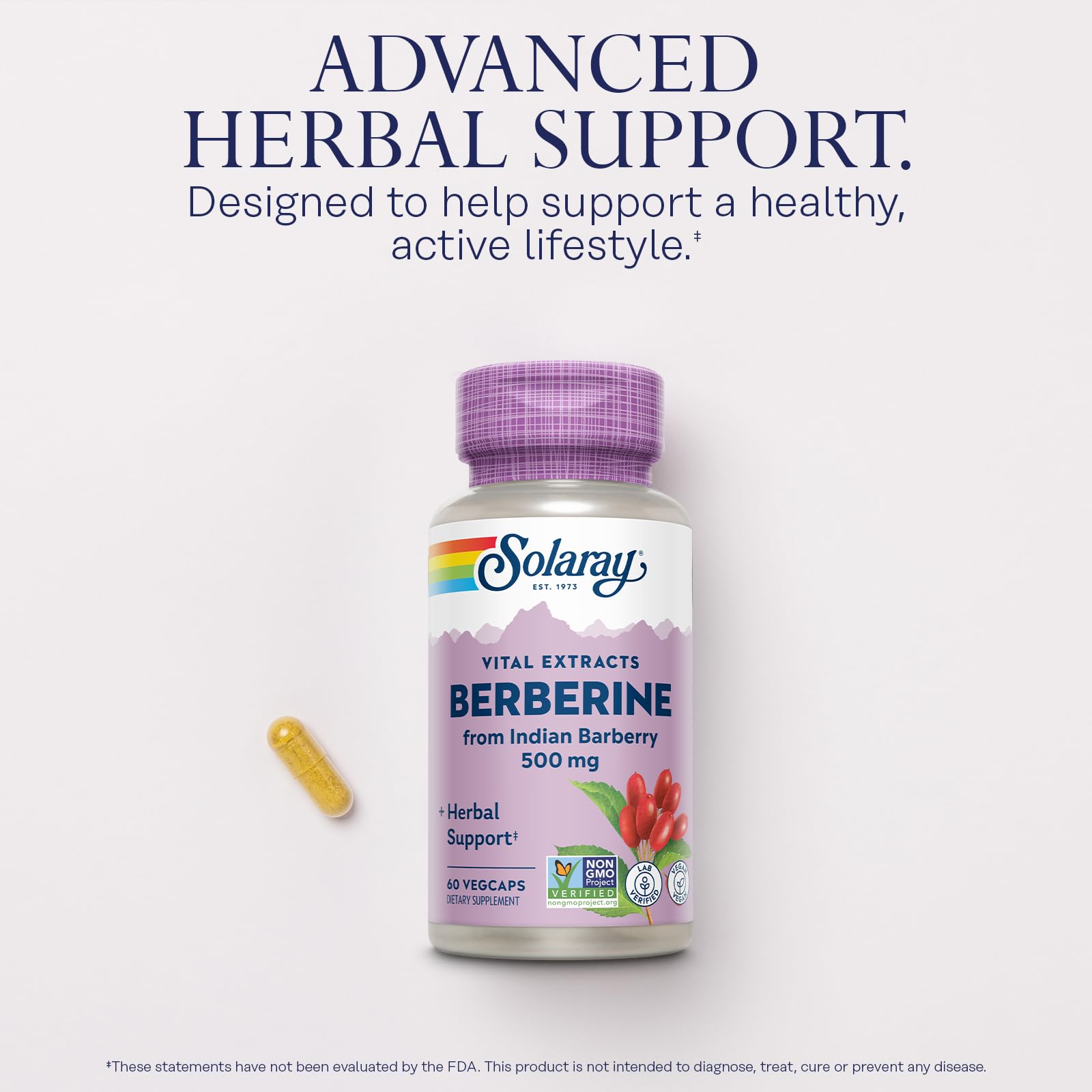 SOLARAY Berberine 500mg label close-up showing ingredients and dosage