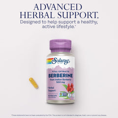 SOLARAY Berberine 500mg label close-up showing ingredients and dosage
