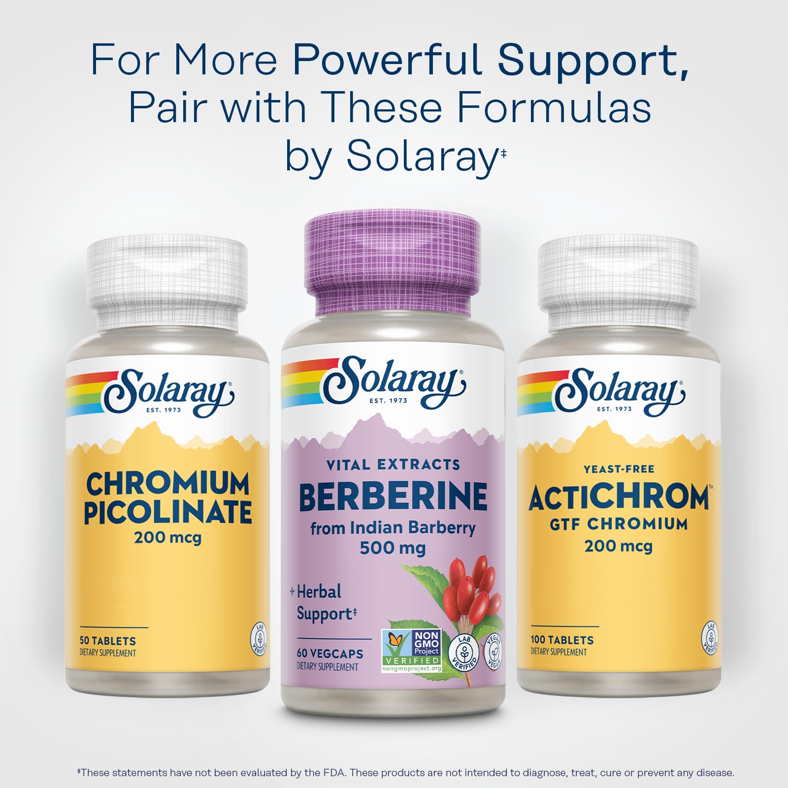 SOLARAY Berberine 500mg bottle with lifestyle on-the-go setting