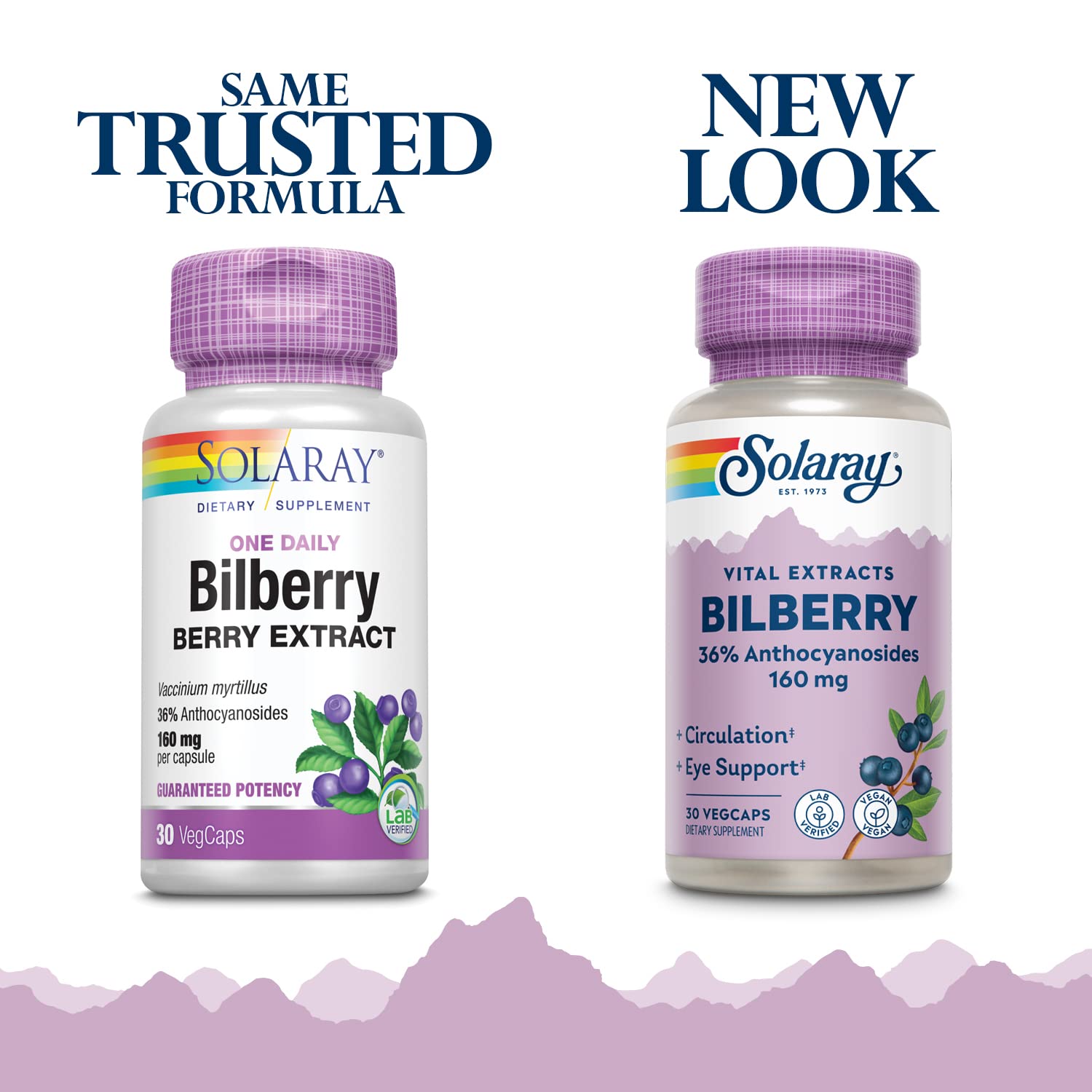 SOLARAY Bilberry capsules close-up with standardized anthocyanosides.