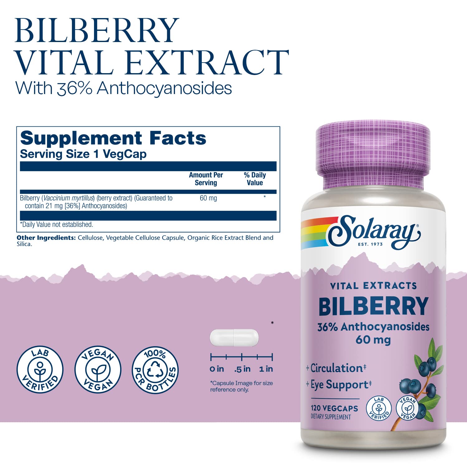 SOLARAY Bilberry Extract bottle back label highlights potency and vegan formula.