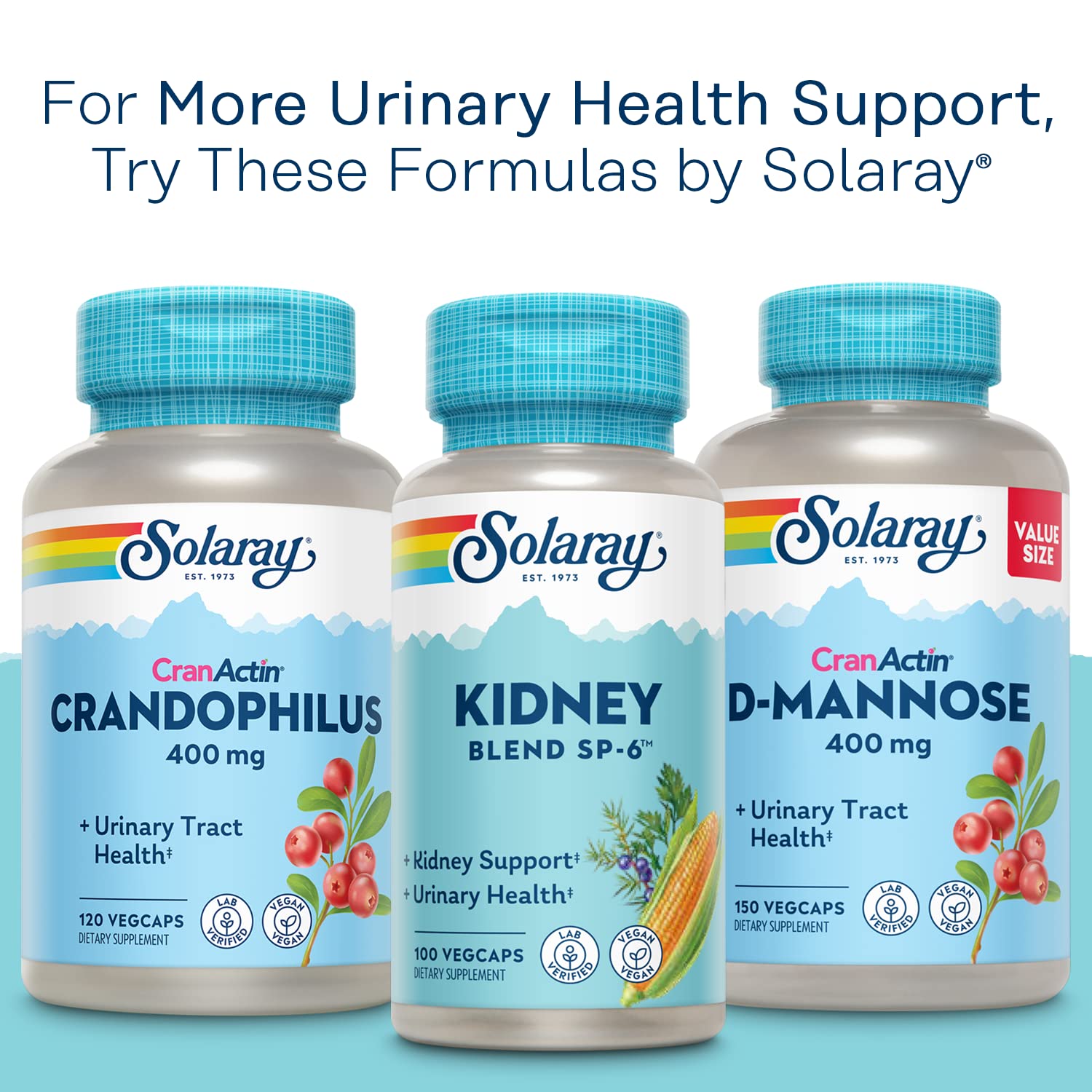 Visual infographic hinting at cranberry and vitamin C benefits