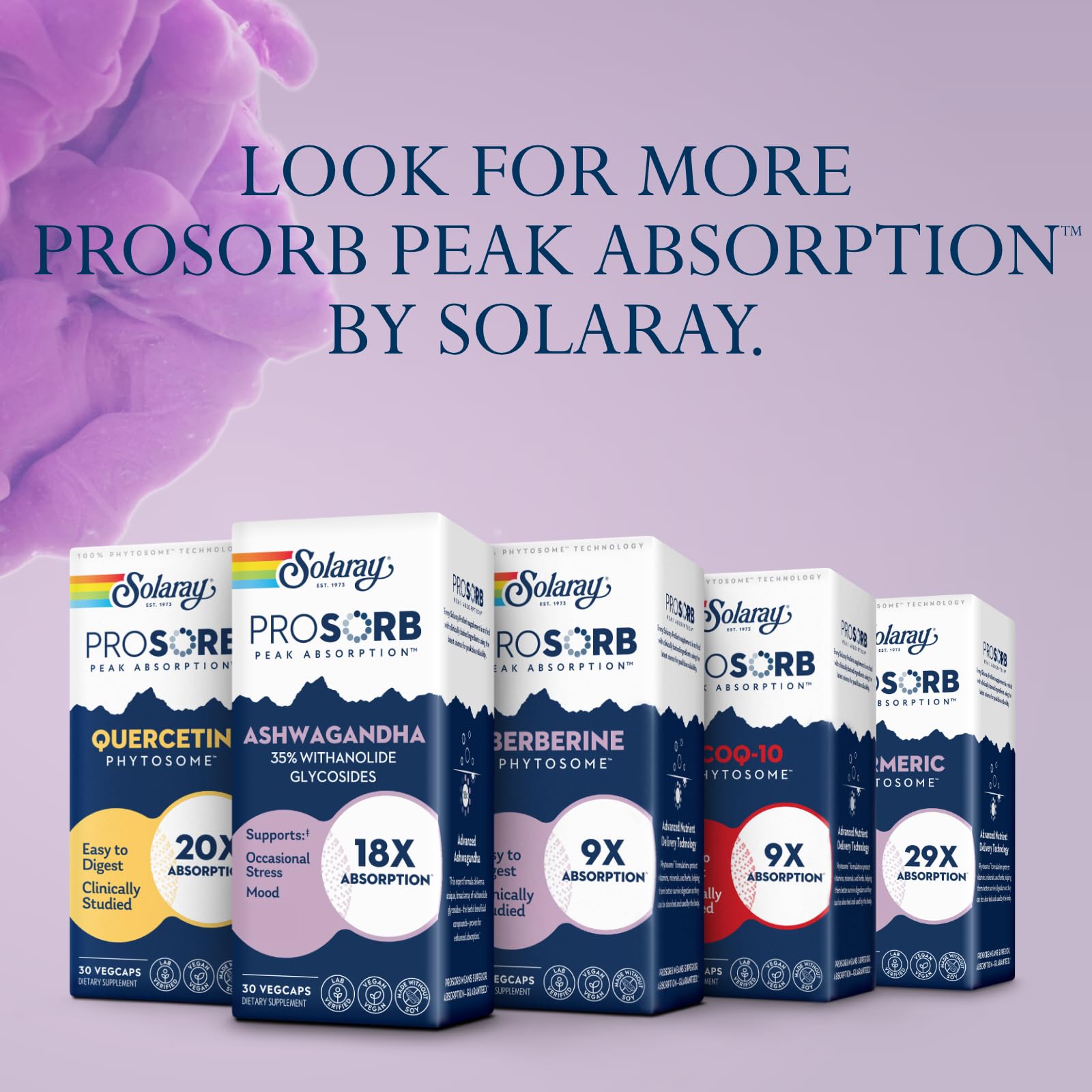 SOLARAY eco-friendly packaging from post-consumer recycled bottles supporting greener choices