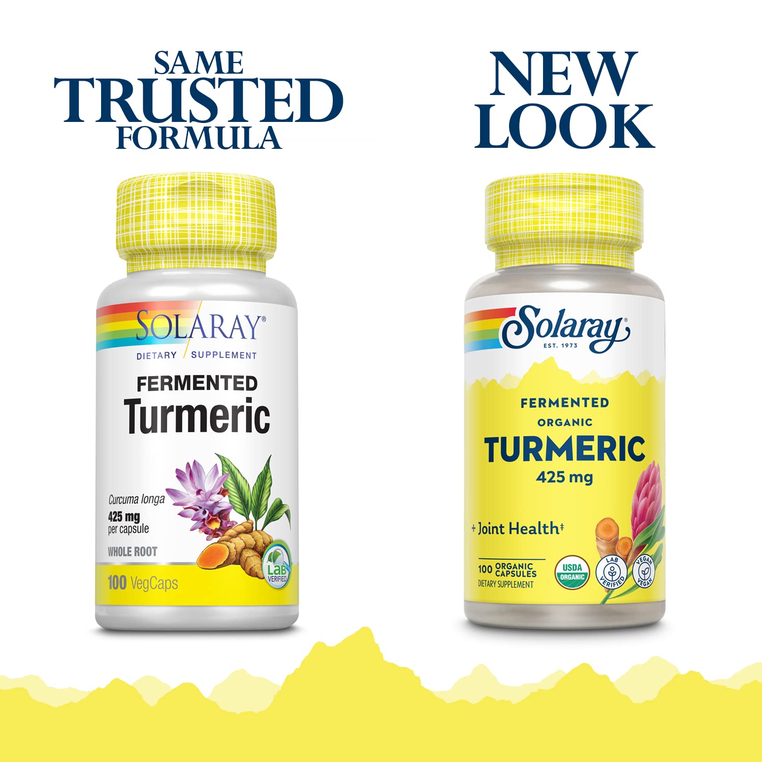 SOLARAY Fermented Turmeric Root VegCaps capsules for easy daily supplementation
