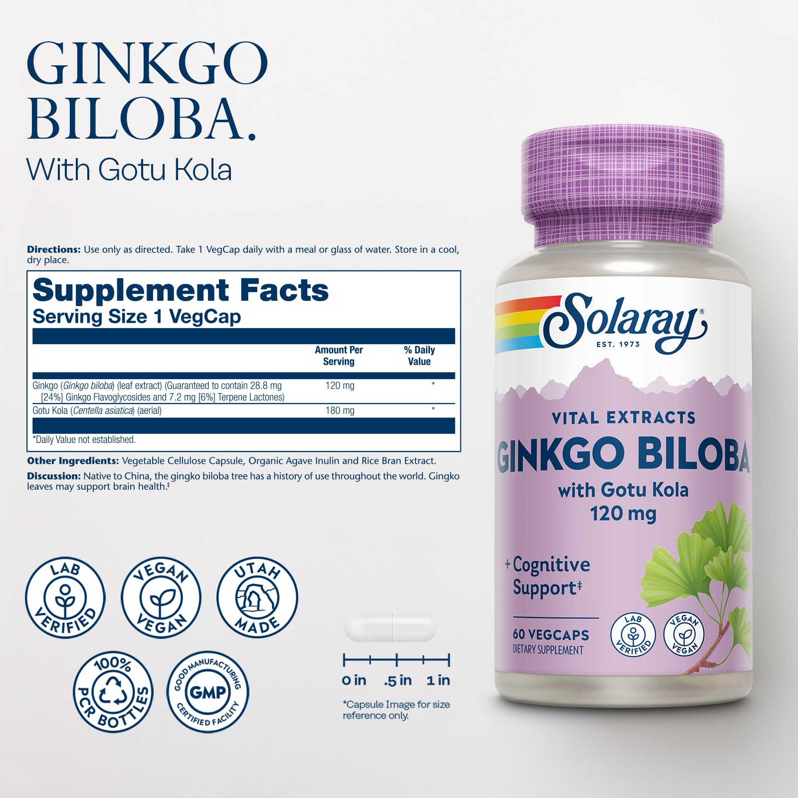SOLARAY Ginkgo Biloba capsules close-up for cognitive support.