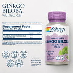 SOLARAY Ginkgo Biloba capsules close-up for cognitive support.