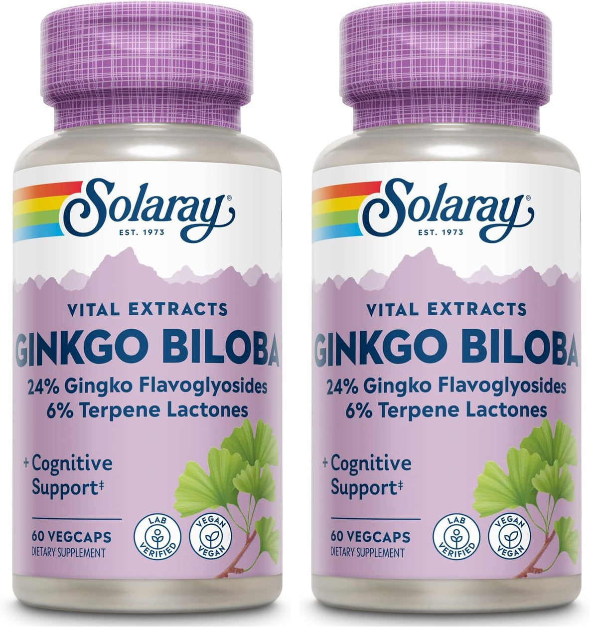 SOLARAY Ginkgo Biloba Extract bottle with 60 mg per capsule for daily focus support