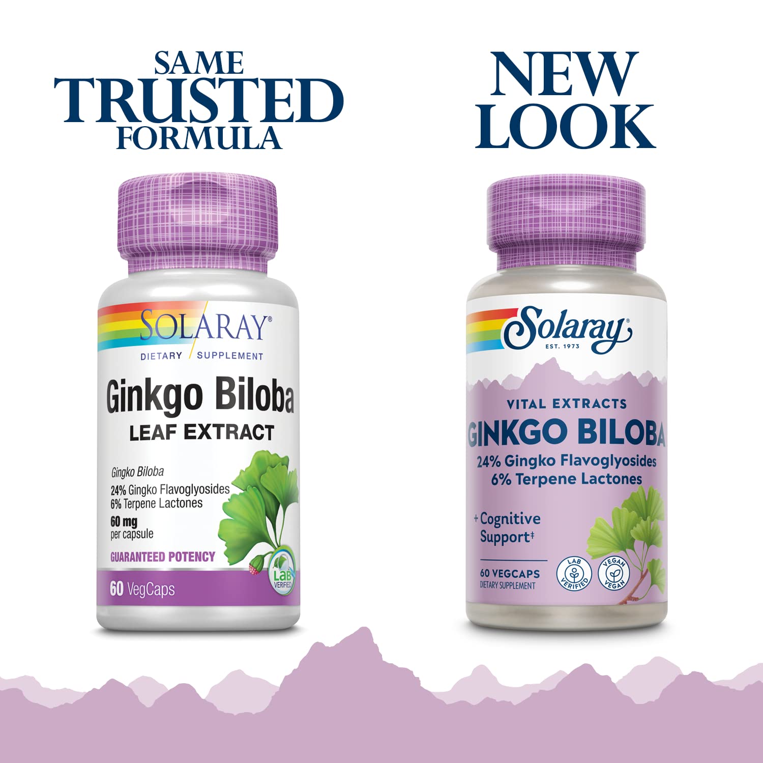 SOLARAY Ginkgo Biloba Extract capsules; 60-count pack for easy daily use