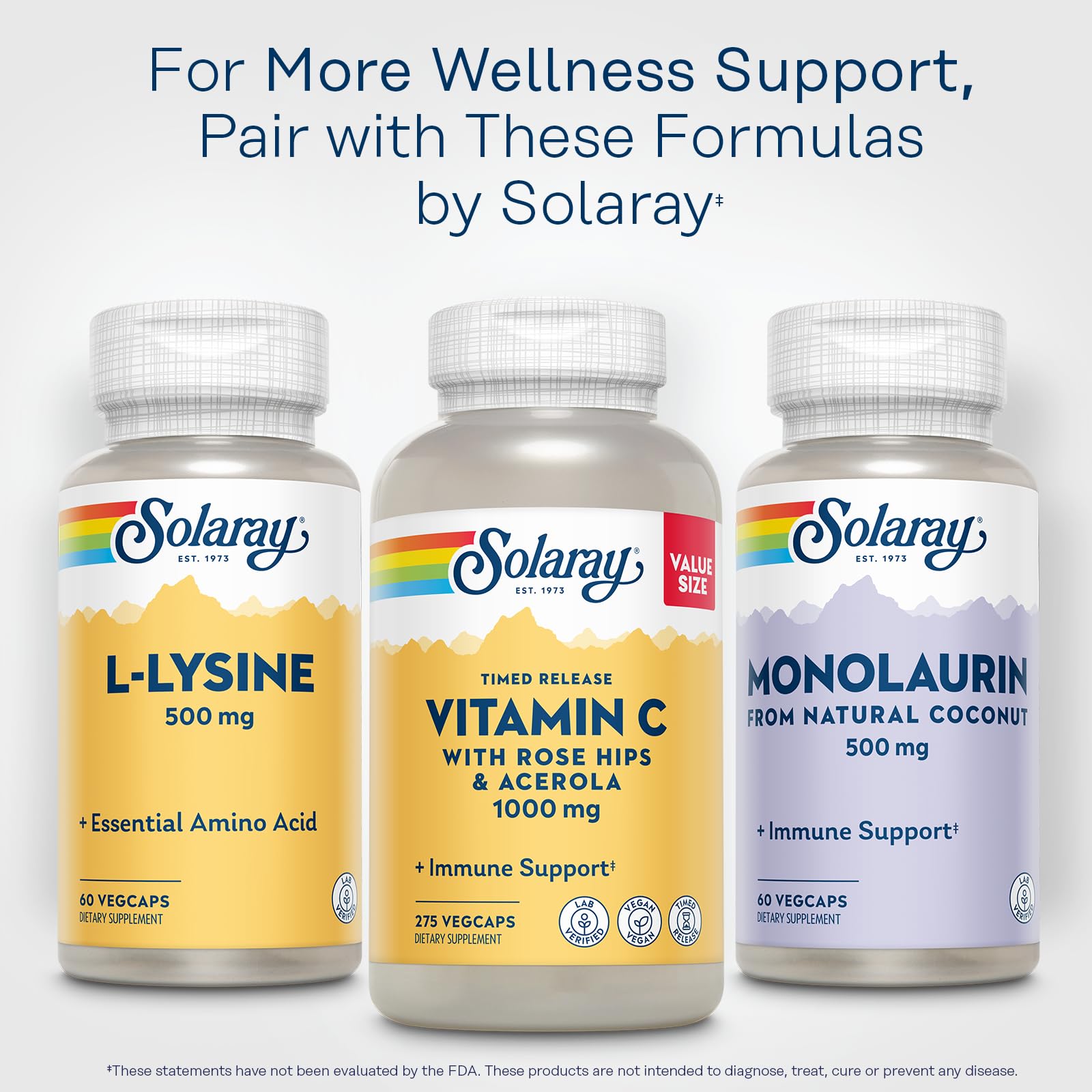 SOLARAY L Lysine bottle on pantry shelf for convenient access