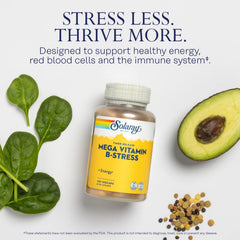 SOLARAY Mega Vitamin B-Stress capsules close-up, showing daily energy support