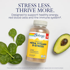 SOLARAY Mega Vitamin B-Stress ingredients panel with B vitamins and vitamin C
