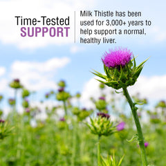 SOLARAY Milk Thistle label shows vegan, non-GMO formula.