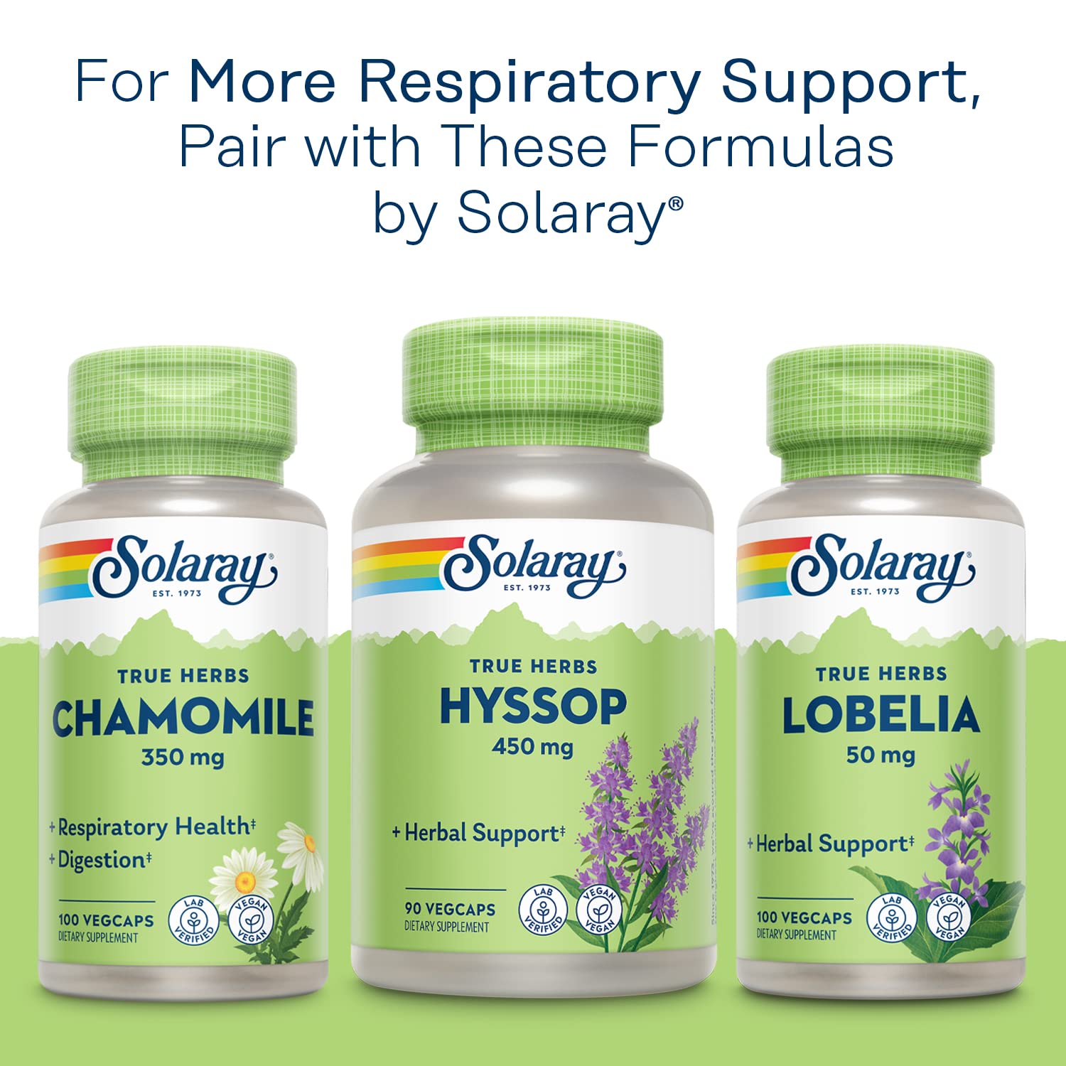 SOLARAY Mullein Leaf package view shows complete product details.