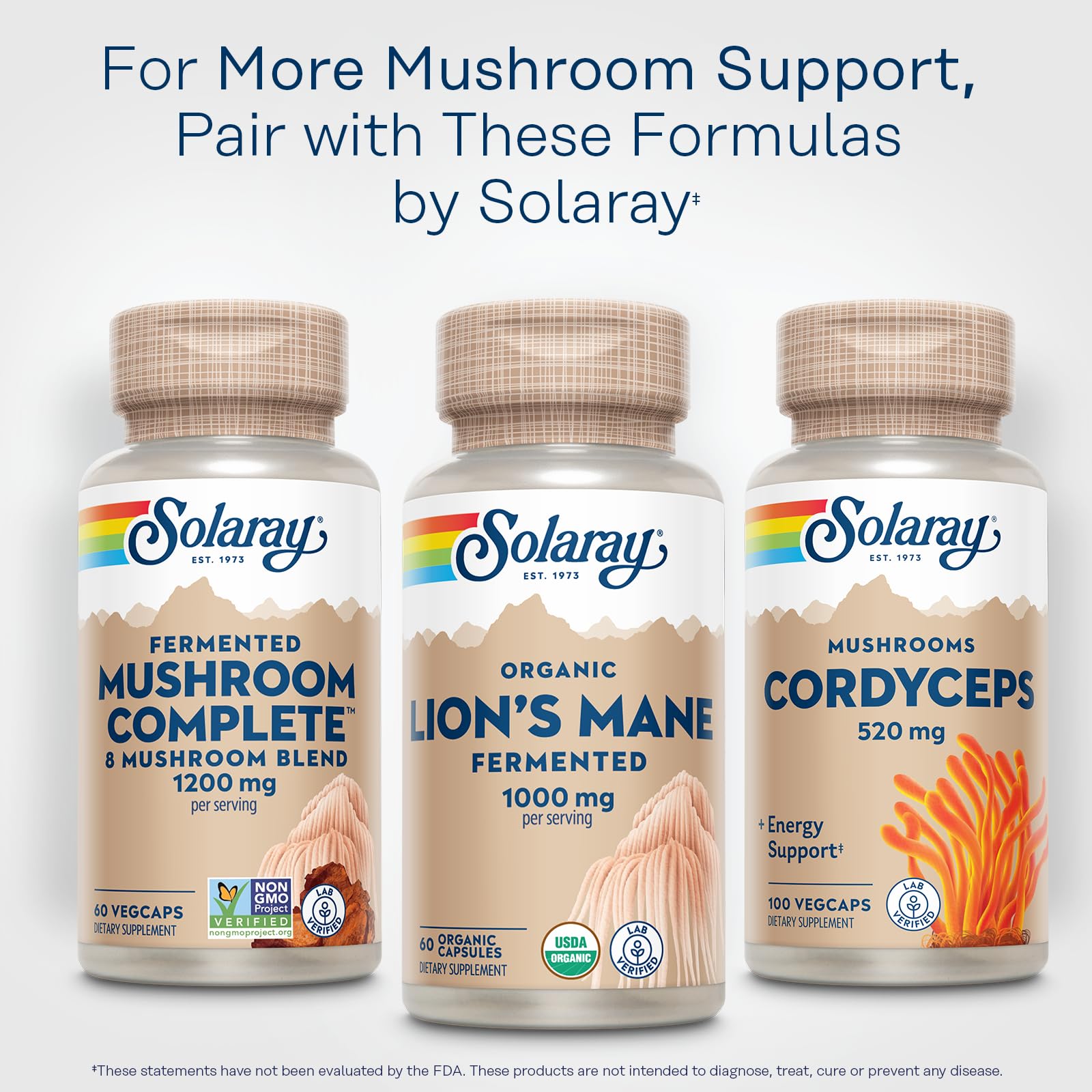 SOLARAY Organic Lions Mane serving setup showcasing a two-month supply for daily use.
