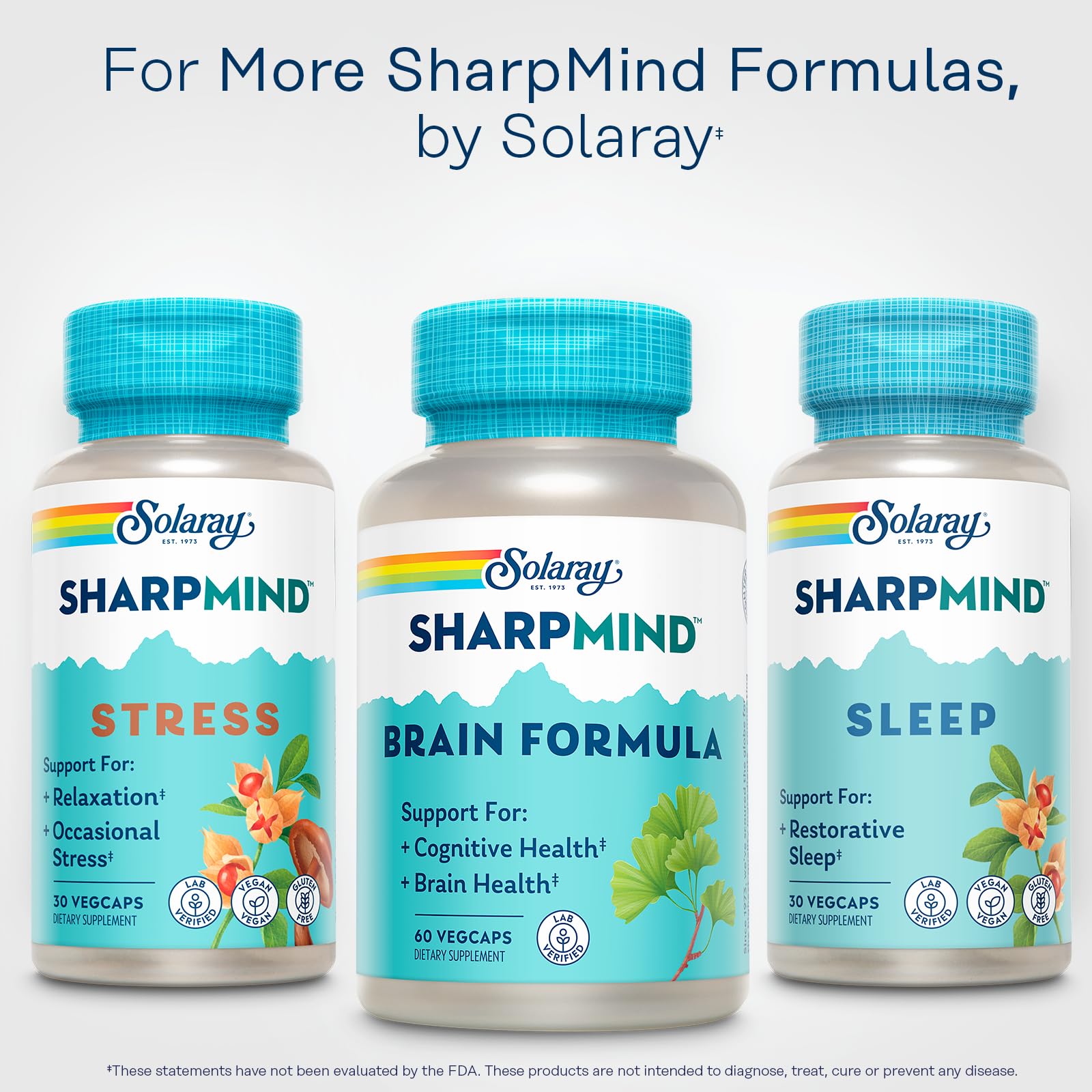 SOLARAY SharpMind daily-use scene for focused study or work sessions