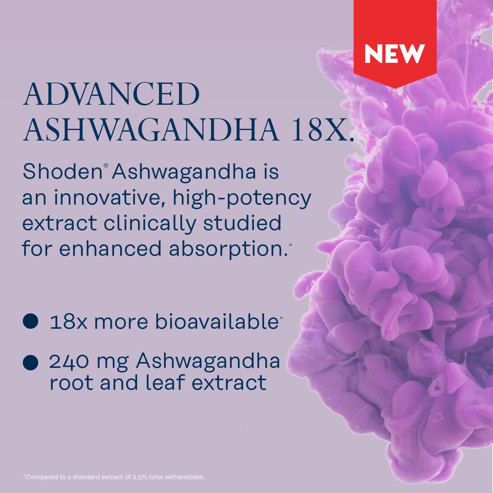 SOLARAY Shoden Ashwagandha leaves and roots graphic emphasizing potent extract