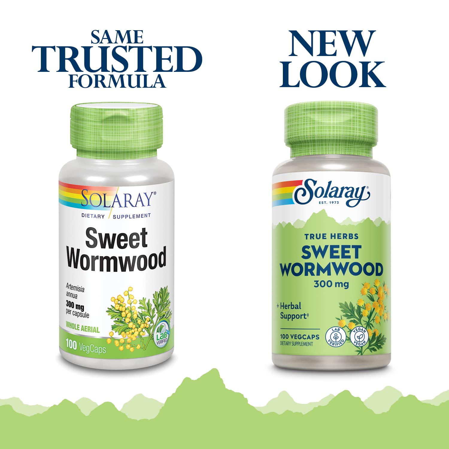 SOLARAY Sweet Wormwood capsules close-up highlighting the herbal formula for balance