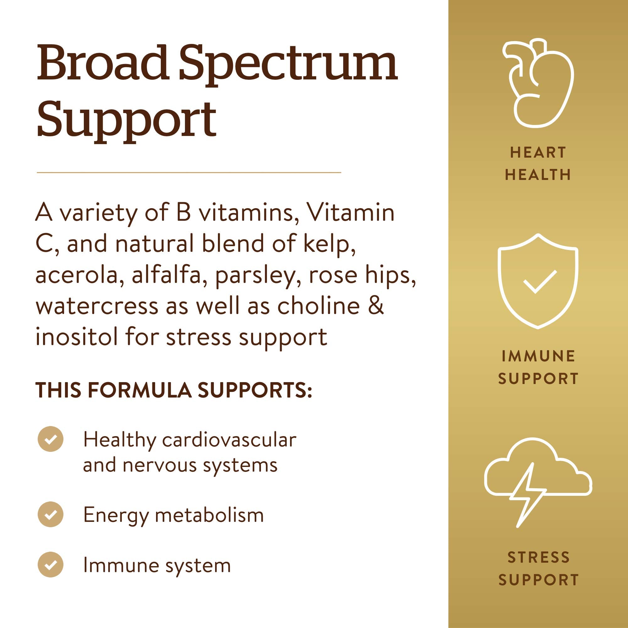 Solgar B-Complex Stress Formula packaging box displayed for convenient daily supplementation