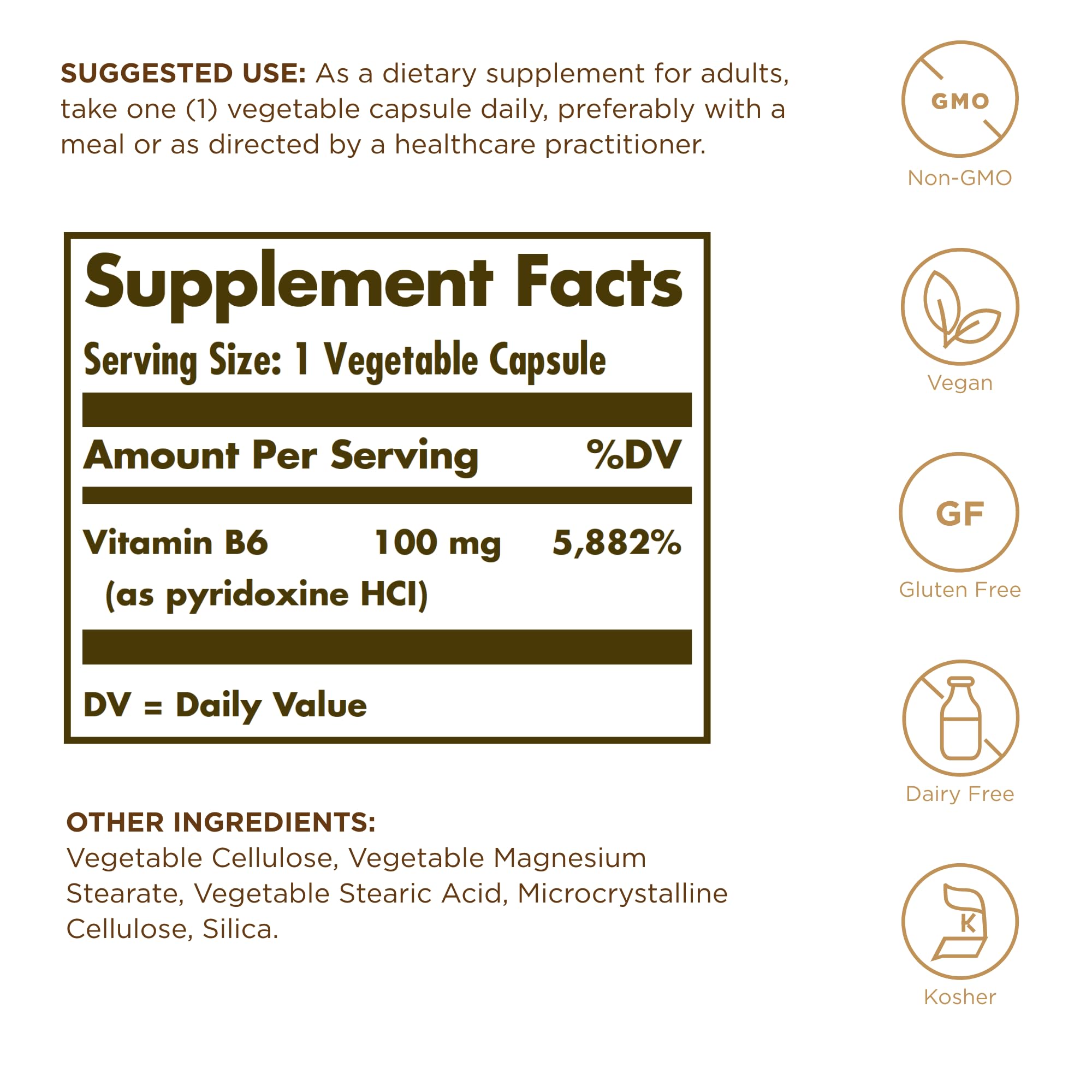 Solgar B6 100 mg bottle label close-up showing vegetarian capsules