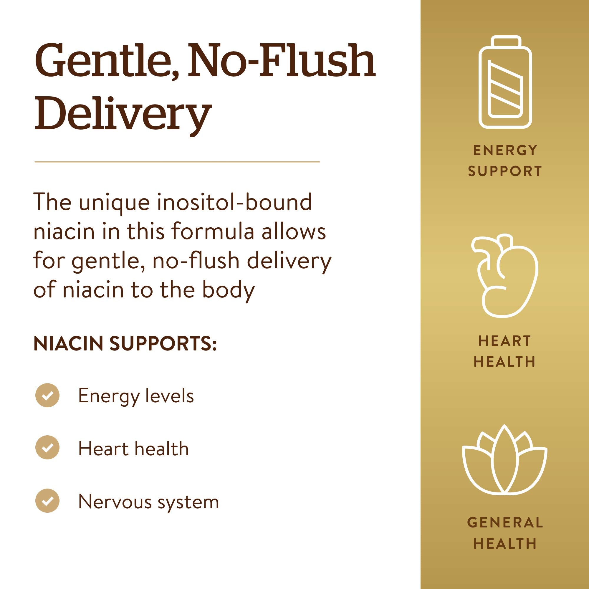 Solgar No-Flush Niacin capsules in hand for daily use.