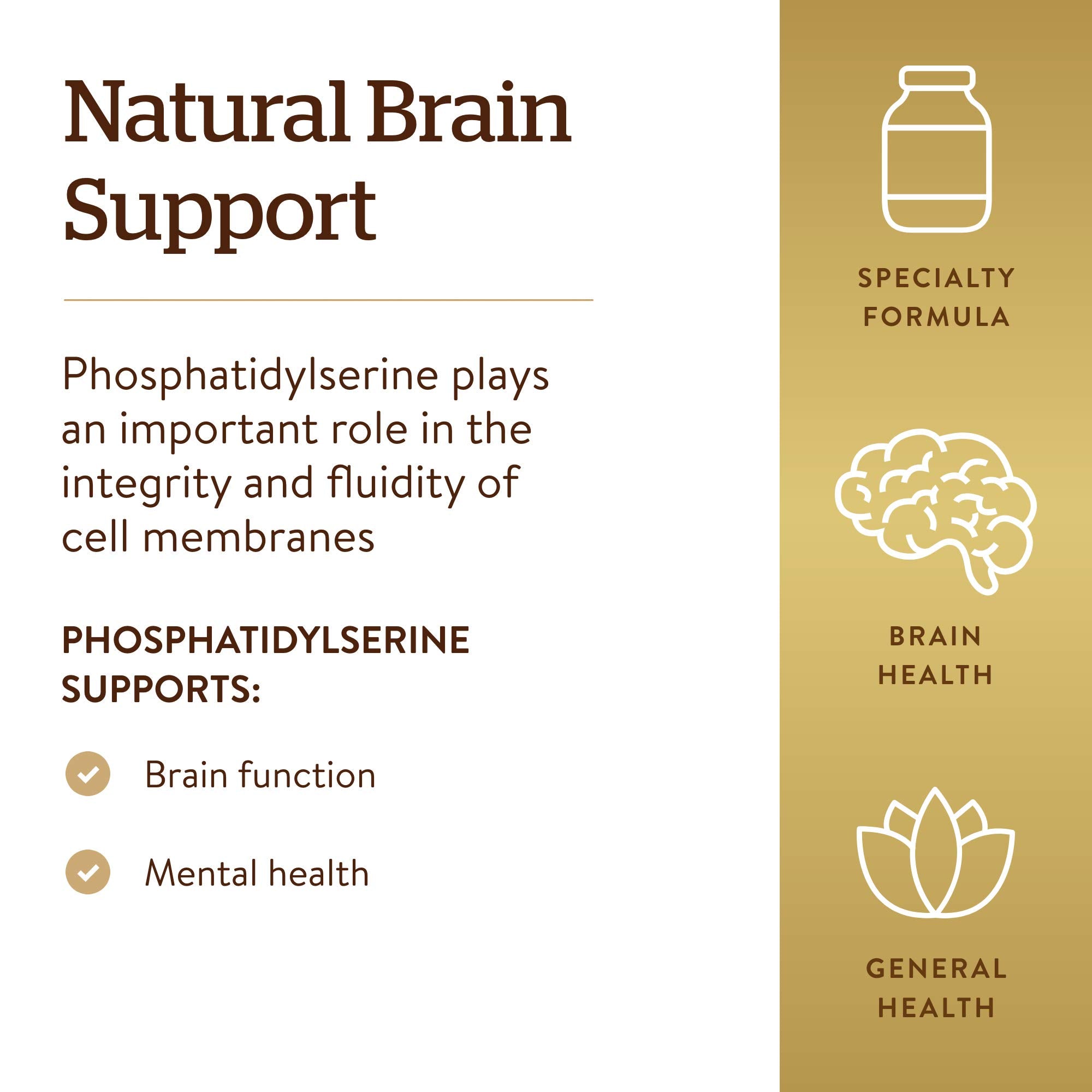 Solgar phosphatidylserine capsules close-up illustrating smooth gel texture