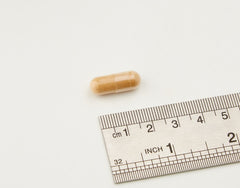 Solgar SFP Ashwagandha capsules easy-to-swallow for daily use