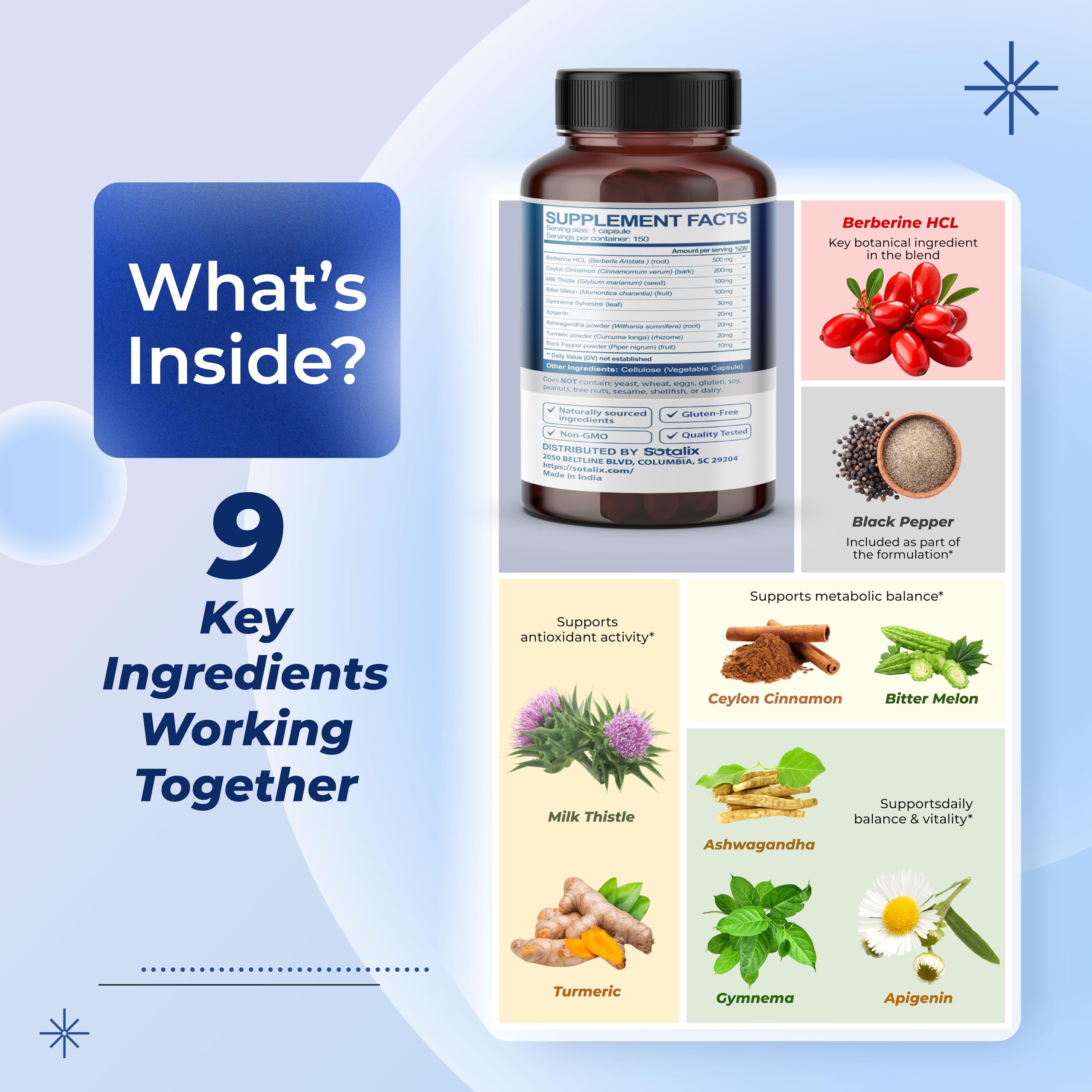 Sotalix Milk Thistle bottle emphasizing plant-based digestive support.