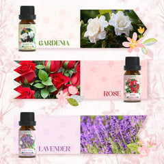 SoulOrigin Backyard Rose diffuser oil for a romantic, uplifting floral atmosphere