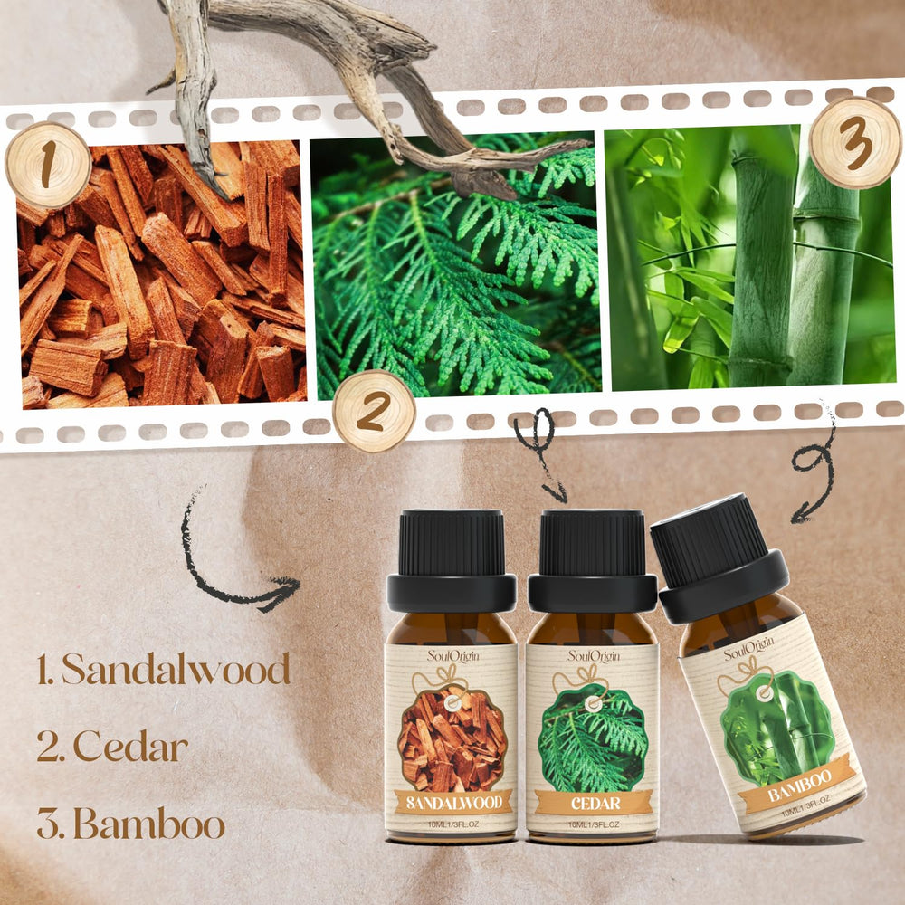 SoulOrigin Woody Oils Set cedar bottle for a calming forest vibe
