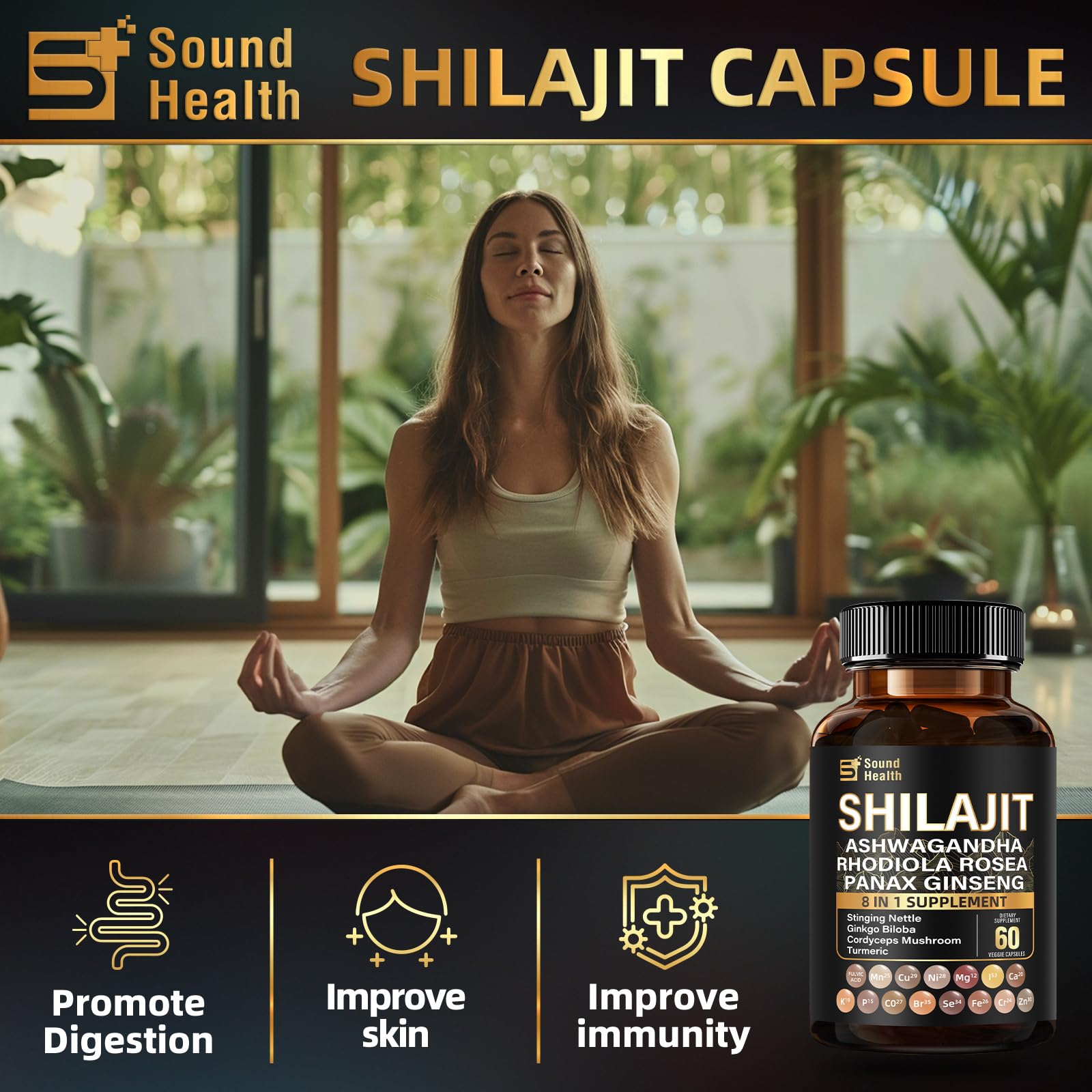 Diagram illustrating absorption-optimized extracts in SoundHealth Shilajit formula.