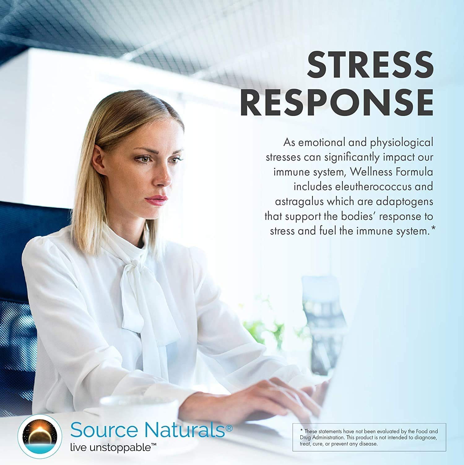 Source Naturals Wellness Formula packaging outer box on a clean surface