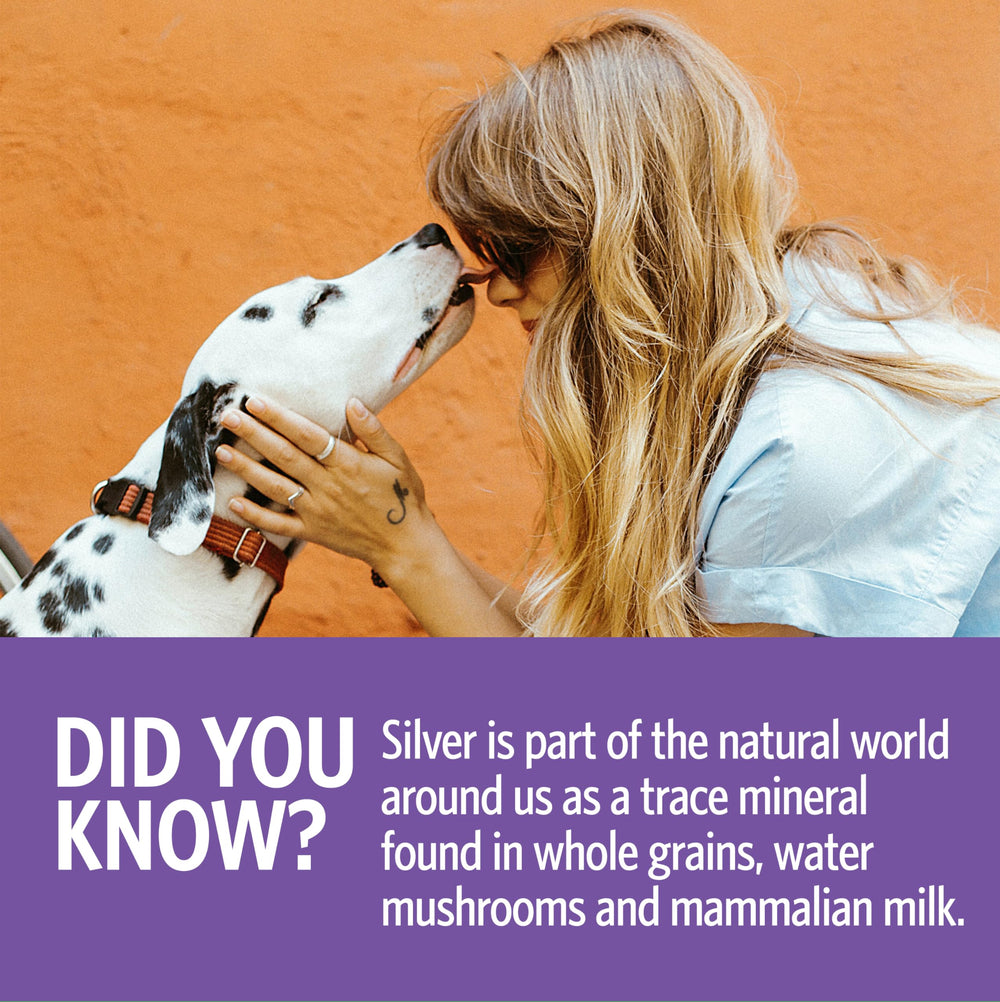 Owner applying Sovereign Silver Pets Immune Support during pet care routine.