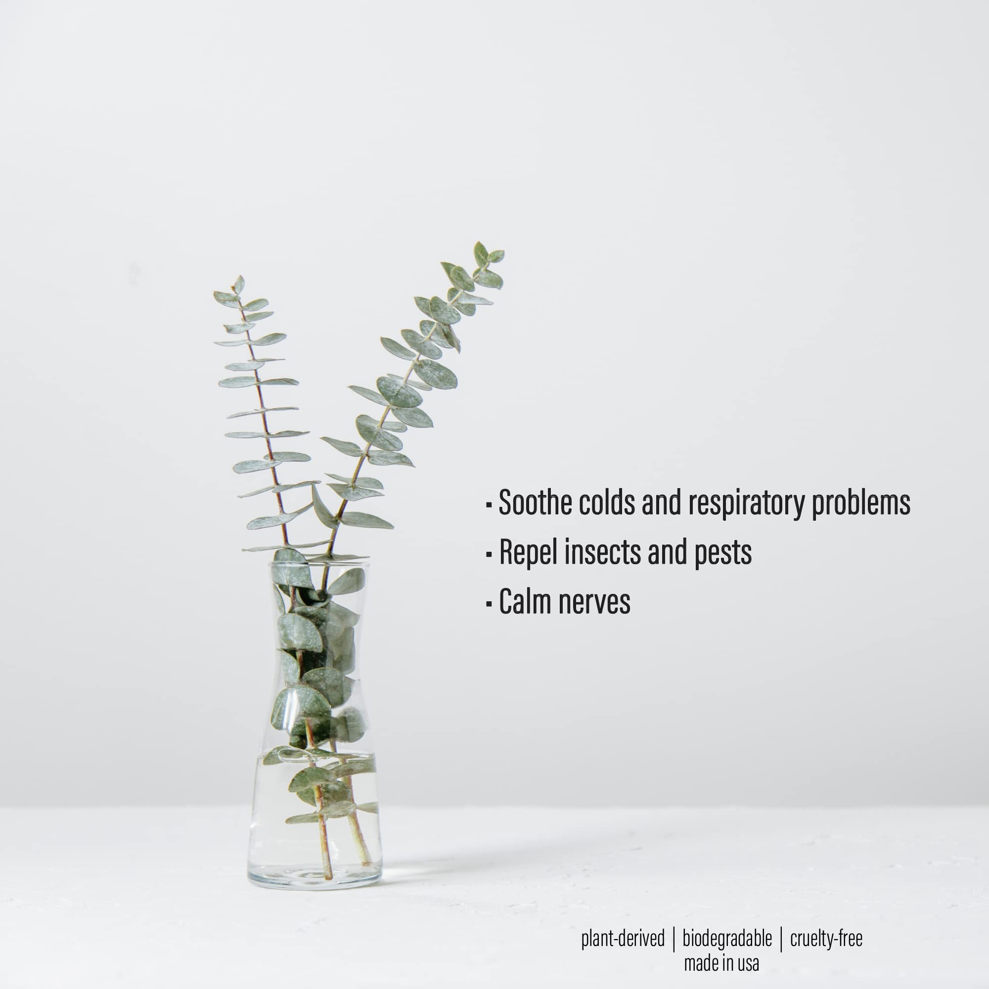 Spa Sense steam-room aromatherapy bottle imagery suggests refreshing experiences.