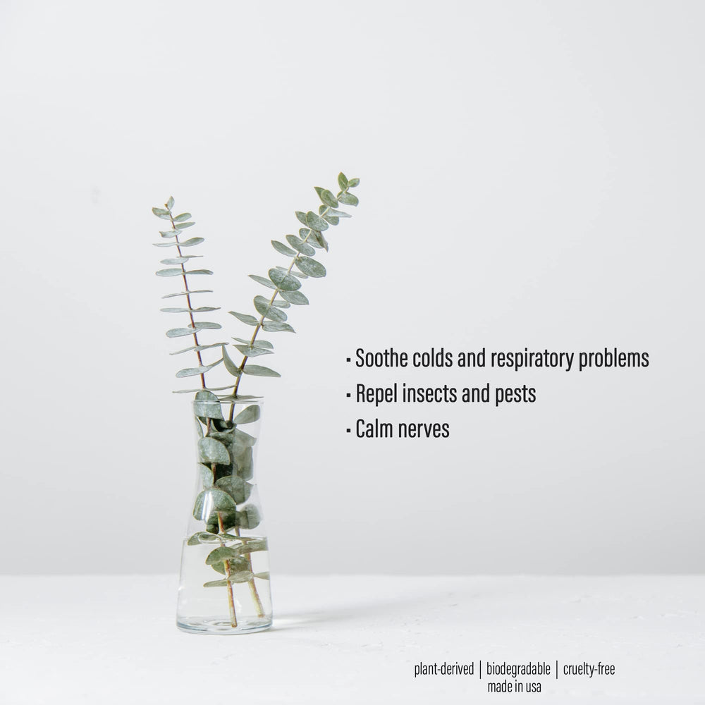 Spa Sense steam-room aromatherapy bottle imagery suggests refreshing experiences.