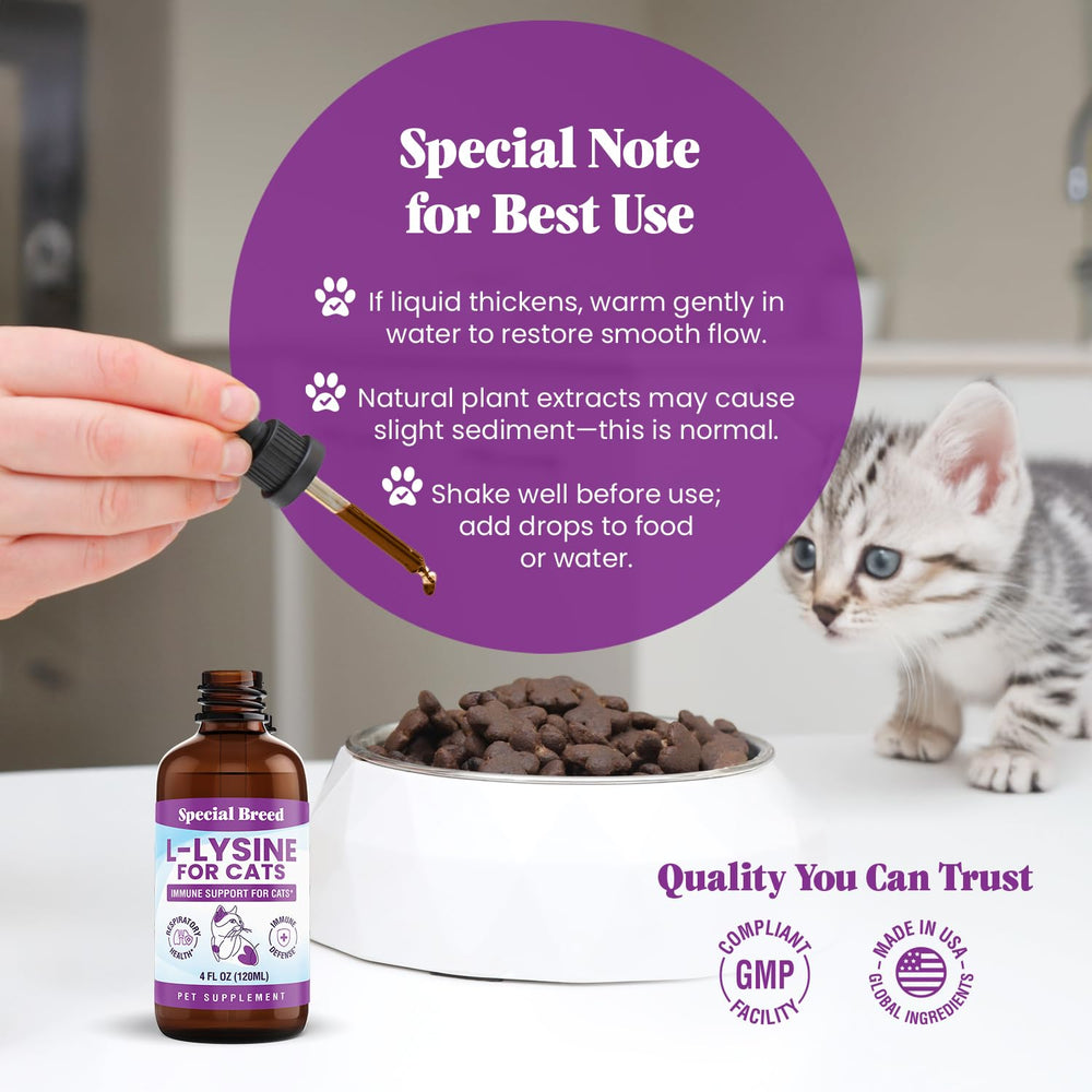 Special Breed Astragalus root image highlighting natural vitality support for cats.