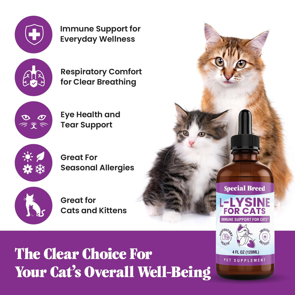 Special Breed Atractylodes root close-up signaling digestion support in cats.