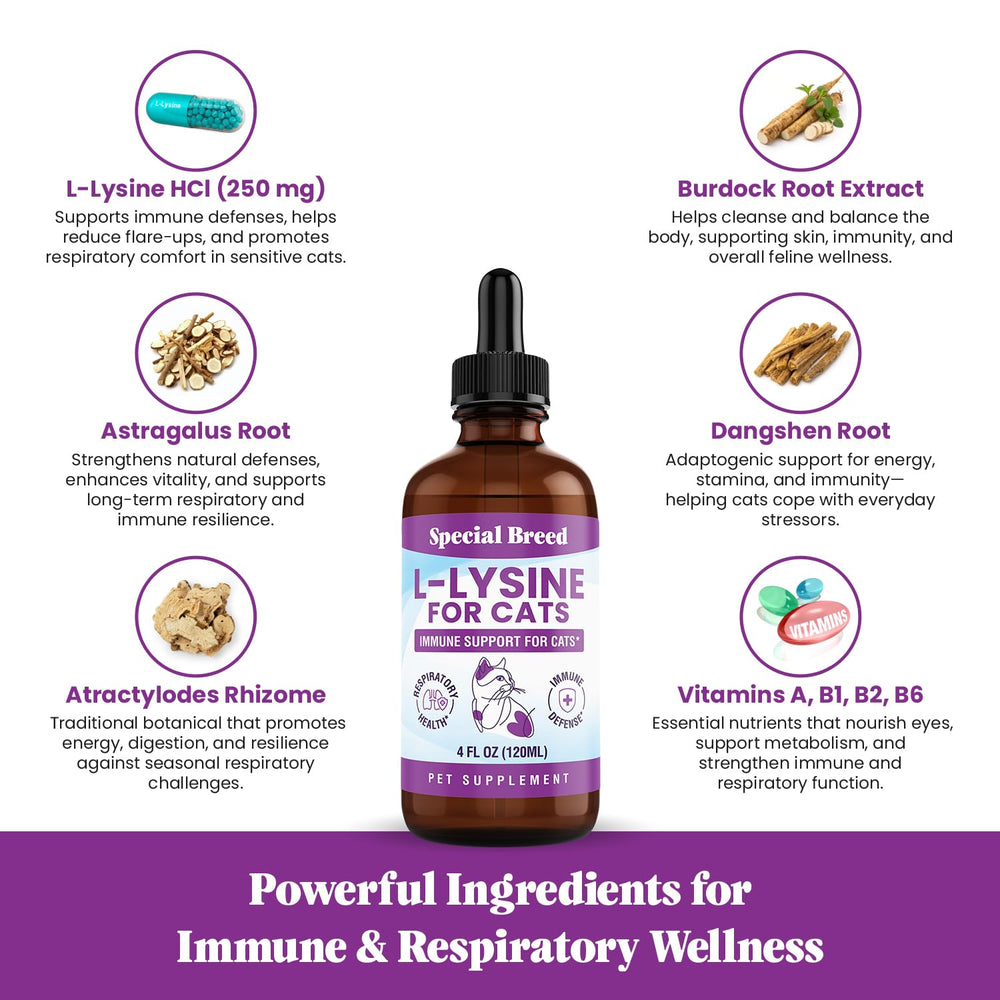 Special Breed immune support illustration for cats and seasonal wellness.