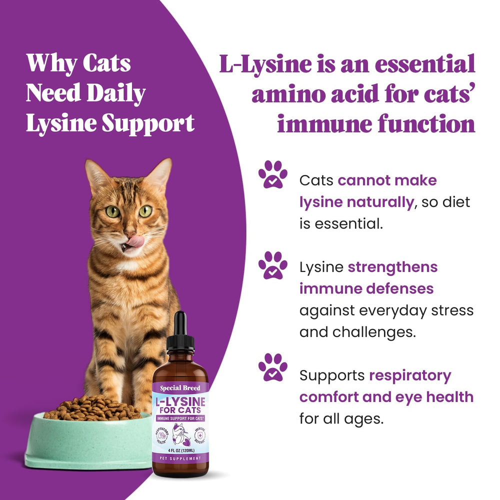 Special Breed Lysine dosing dropper enabling effortless mixing with meals, water, or treats.