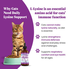 Special Breed Lysine dosing dropper enabling effortless mixing with meals, water, or treats.