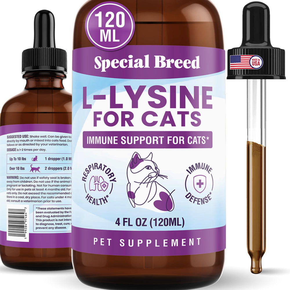 Special Breed Lysine liquid bottle for cats supports daily immune health and easy dosing.
