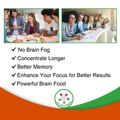 Spectra Vitamins Brain Power ingredients scene features Bilberry and Rosemary for neural support.