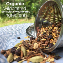 SpeedyVite Liver Detox Tea ginger fennel blend visual emphasizes flavorful digestion aid.