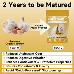 SpenHerb 15:1 concentrated garlic extract closeup highlighting potency.