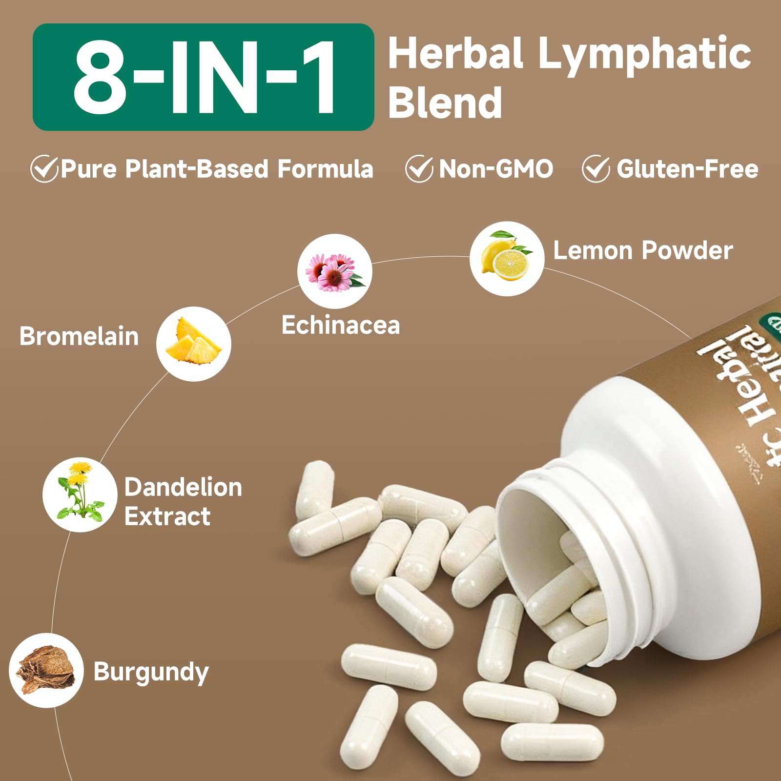 SpenHerb Echinacea and Dandelion ingredients close-up for immune-friendly support.
