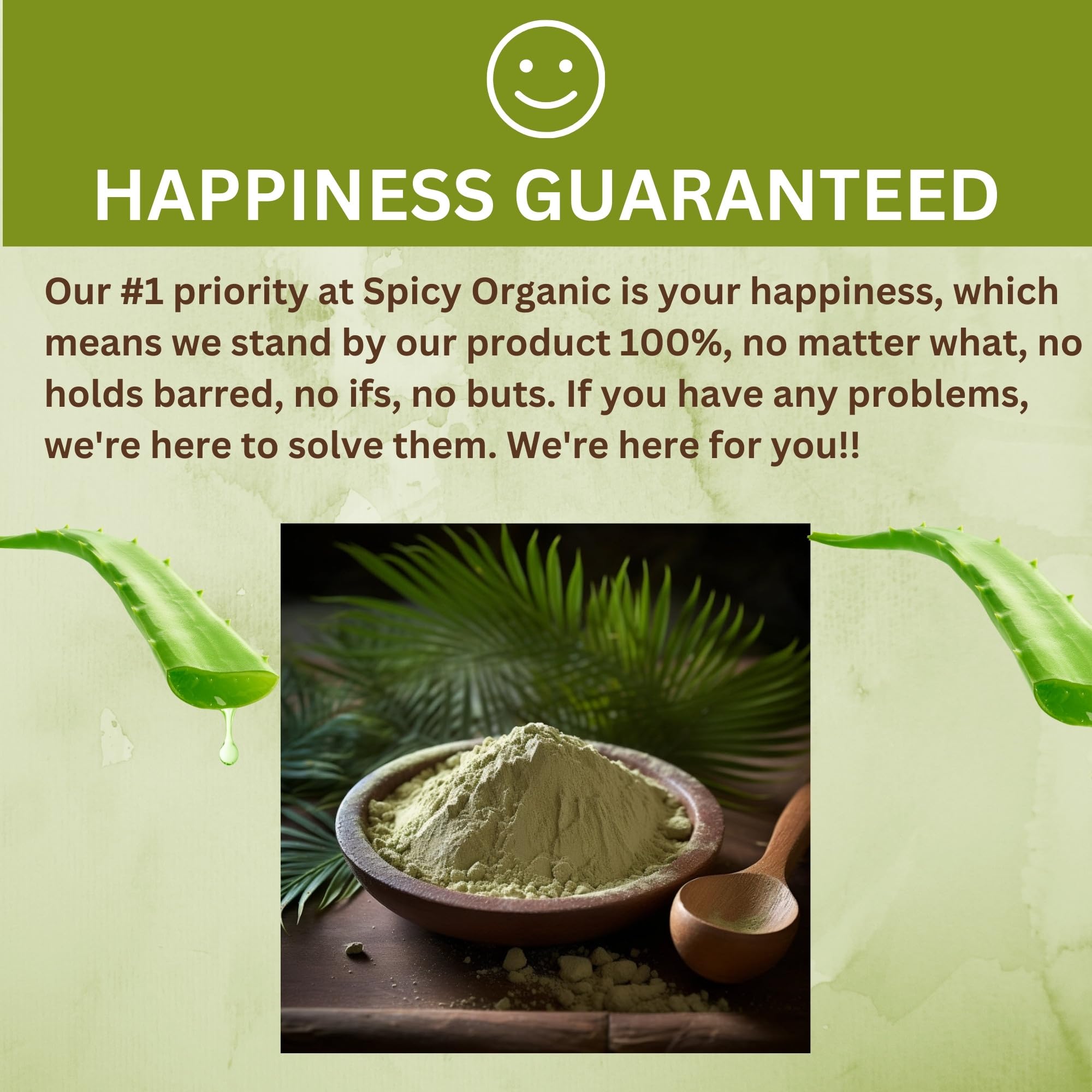 SPICY ORGANIC Aloe Vera Powder 4 oz packaging for home beauty routines.
