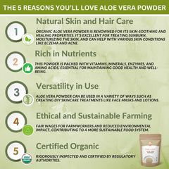 SPICY ORGANIC Aloe Vera Powder mixed with water to form a hydrating paste.