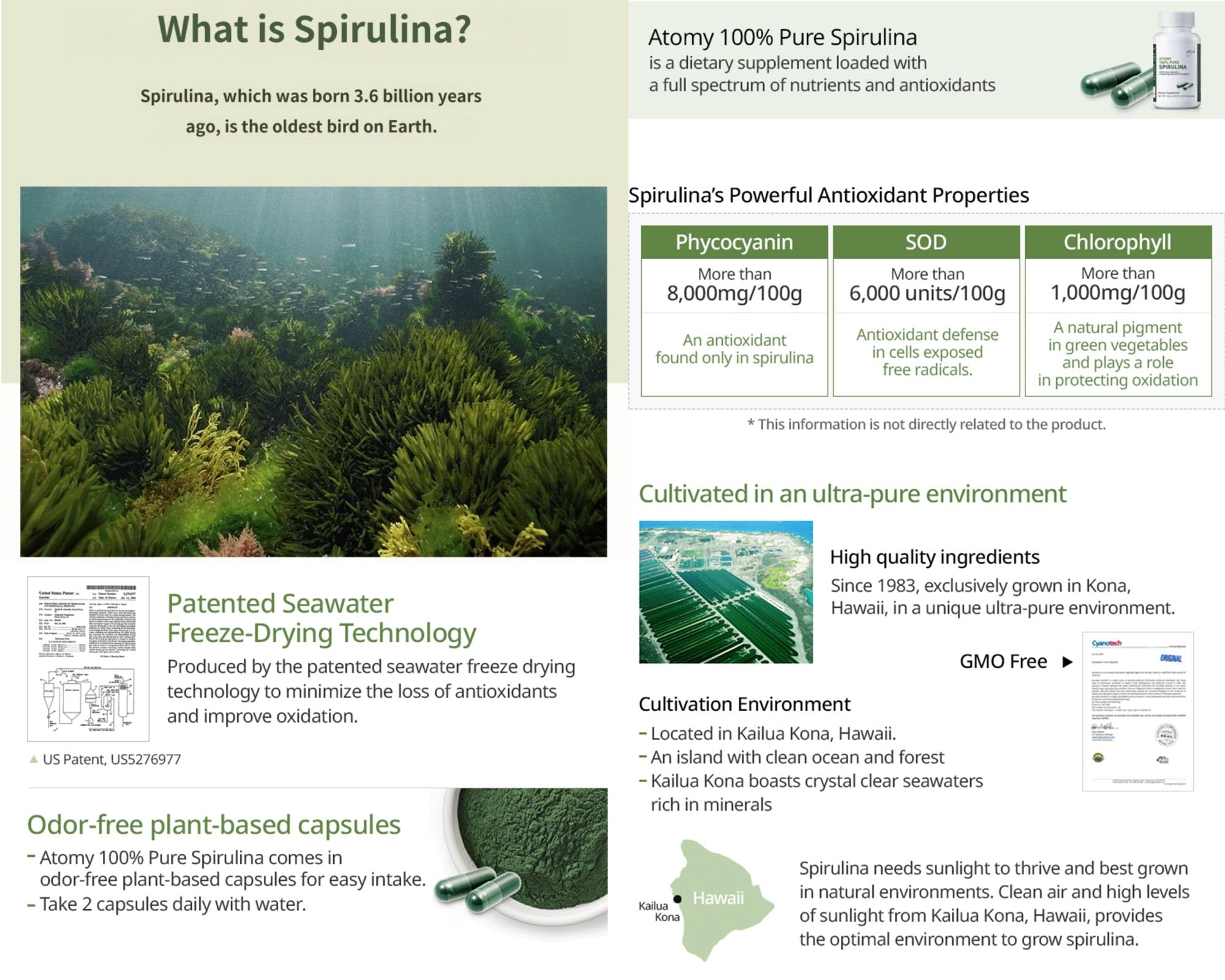 Spirulina capsules in hand demonstrate convenient two-capsule daily dose.