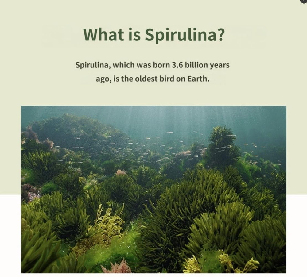 Spirulina lifestyle scene with meal prep implies convenient daily nutrition.