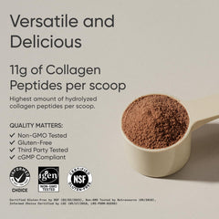 Scoop of Sports Research Collagen Peptides ready to blend into powder.