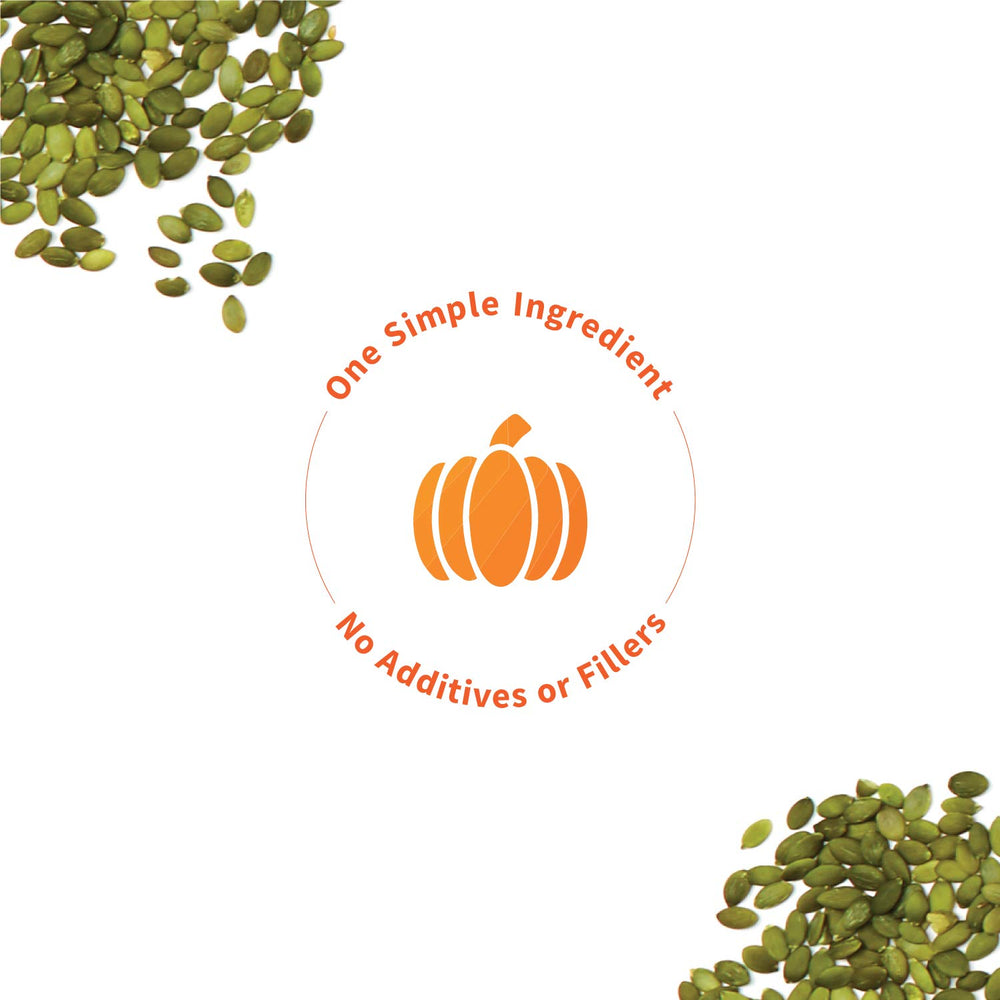 Sprout Living pumpkin seed protein powder close-up showing fine texture for easy blending.